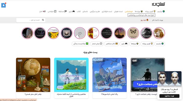 وب‌سایت تستچی