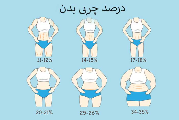 درصد چربی نرمال بدن