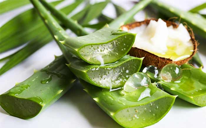 ماسک آلوئه‌ورا و روغن نارگیل (آبرسان و تقویت‌کننده)