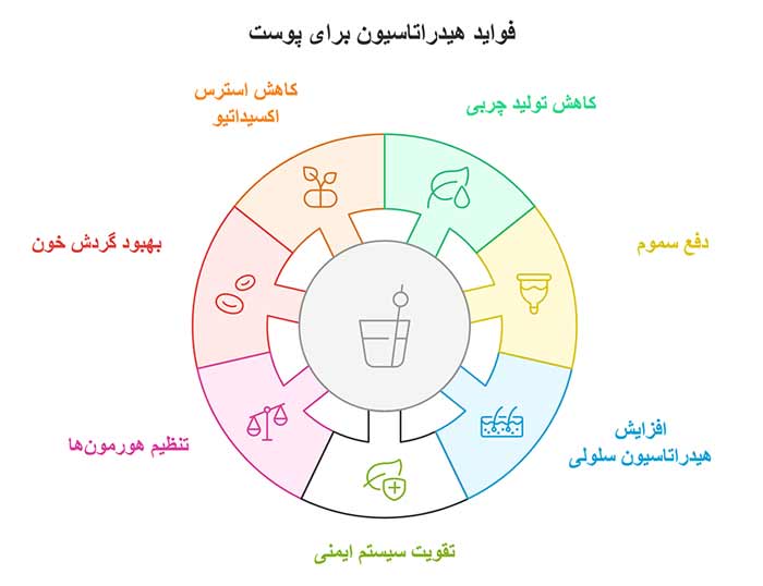اینفو گرافی هیدراتاسیون برای پوست 