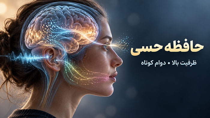 مدت زمان حافظه حسی | ظرفیت حافظه حسی (در روانشناسی)